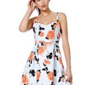 Mink Pink Queens Garden Robin Blue fit and flare flroal dress size small